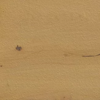 Плитка (598x598x20) DAR66850 Bricola Ale 60X60X2 R11 Rect., beige